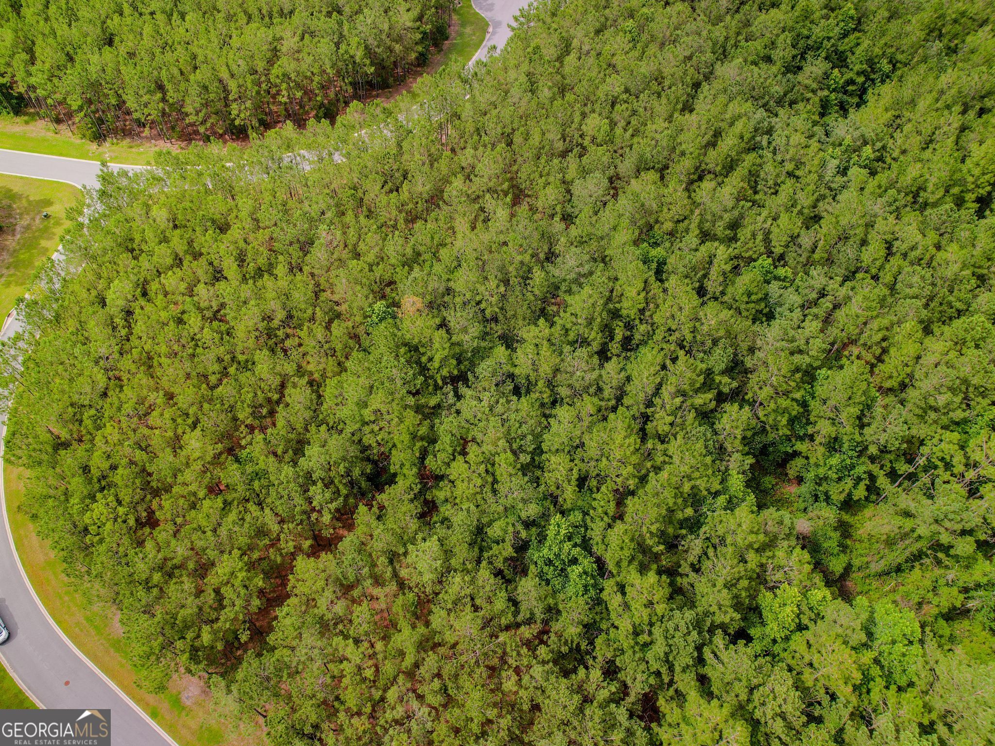 LOT 35 Sea Turtle LN