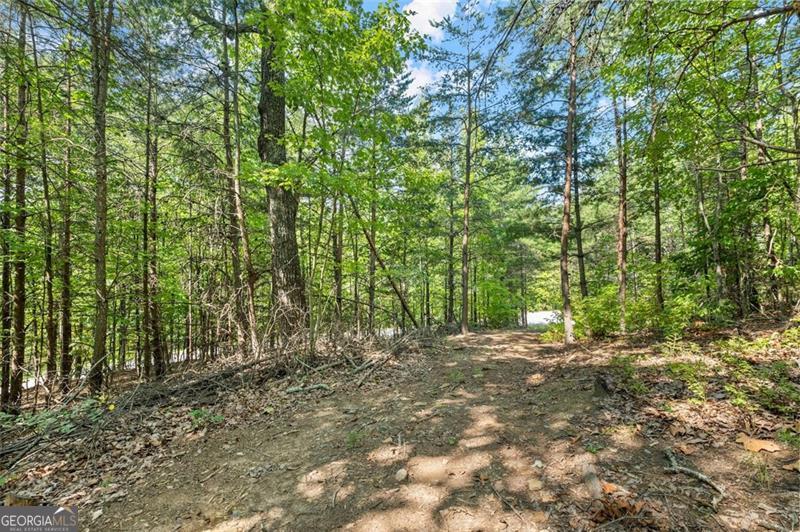 PRICED WELL BELOW ASSESSED VALUE Exceptional 2.07-Acre Lot in Sought-After Community! This beautiful lot offers two potential homesites: one perched near 1,800 feet elevation with breathtaking views, and another closer to the road, featuring flatter terrain and an easier driveway installation. Enjoy modern conveniences with community water, underground utilities, and high-speed internet avail. Nestled in The Highlands-a prestigious neighborhood known for its elegant estate homes on spacious lots-residents enjoy access to a scenic 3-acre stocked pond, serene walking trails, and a charming community pavilion. Conveniently located just minutes from Clarkesville, Tallulah Falls, and The Orchard Golf & Country Club. Soil tests available. Build your dream home in the mountains today!