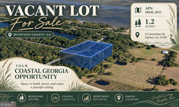 CARNOCHAN DR, DARIEN, GA 31305 - Image 21d604ff0b281c2d2c0b4f593651b0fc/719405584