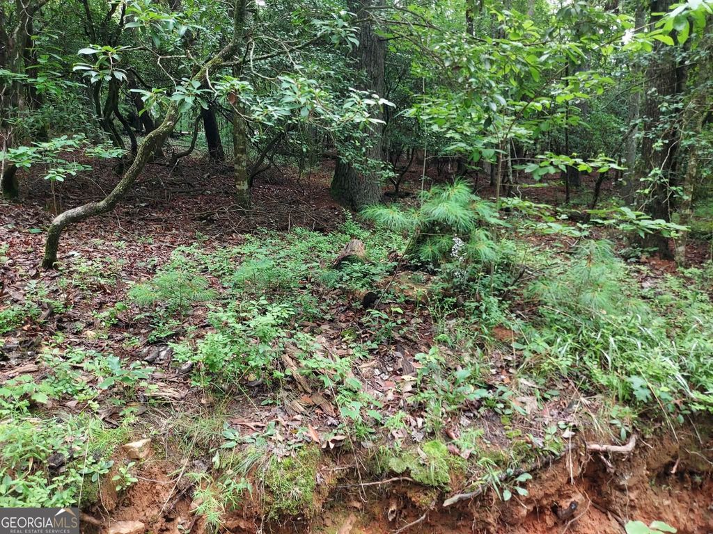 Photo of 1 Wexford Way, Lakemont, GA 30552 (MLS # 10805876)