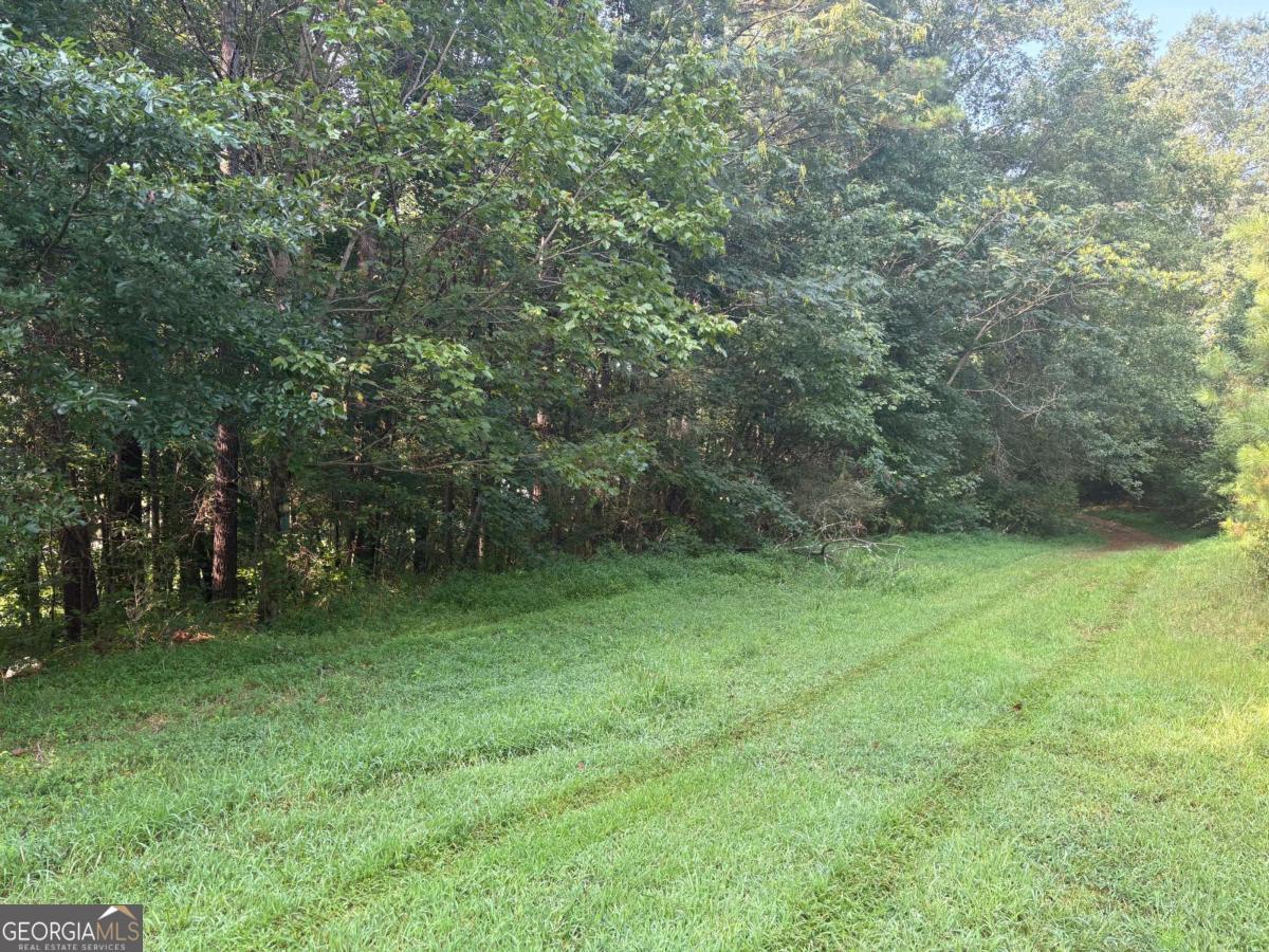 Beautiful estate lot half a mile away from the intersection at Union Hill Road, Harmony drive, & GA HWY 20. Close enough for a quick get away but far away enough that there's peaceful enjoyment (no road noise). Convenient location for schools, business, restaurants, stores, etc. Small stream at back of property, perfect hide away.