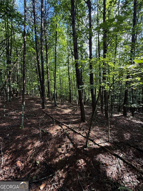 Photo for LOT 5 Marci LN
