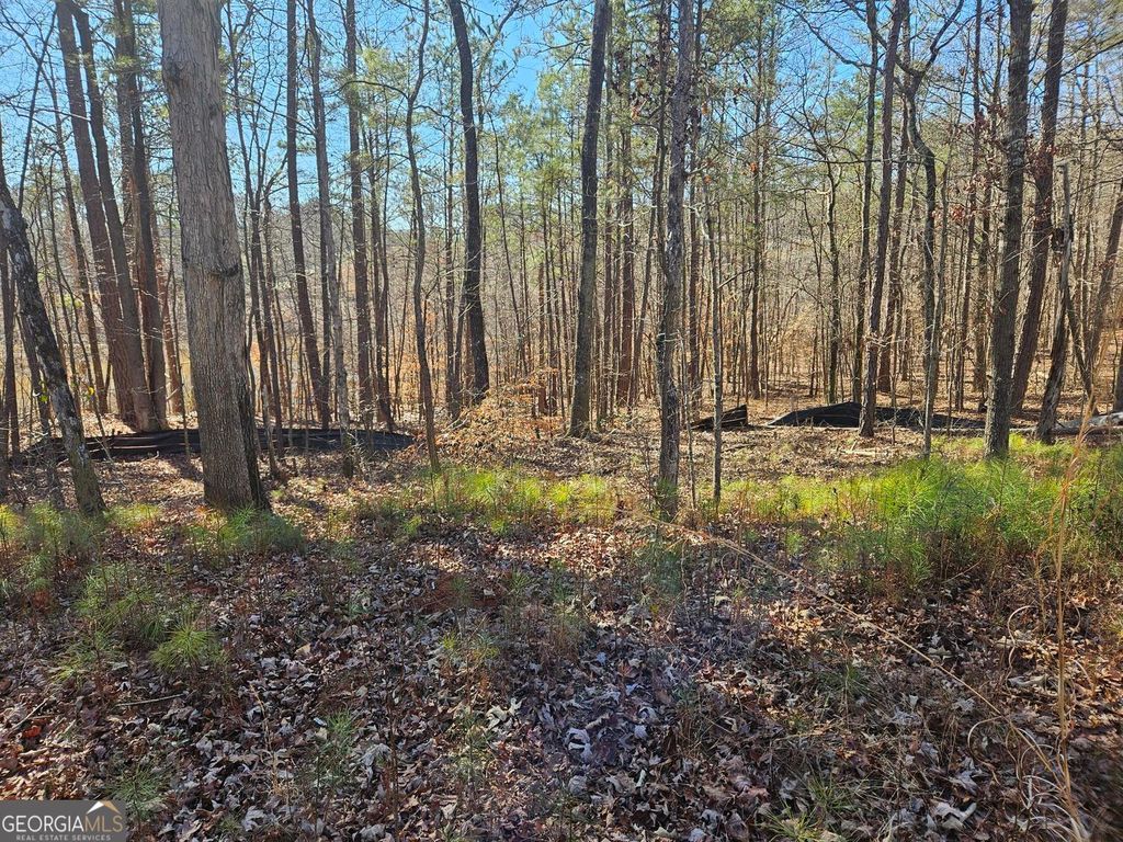 Photo of 0 Glenn Road NE, Conyers, GA 30013 (MLS # 10675091)