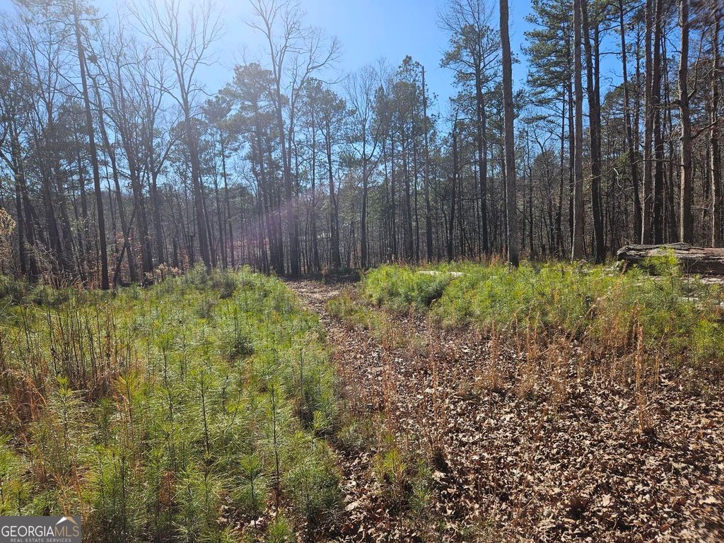 Photo of 0 Glenn Road NE, Conyers, GA 30013 (MLS # 10675091)