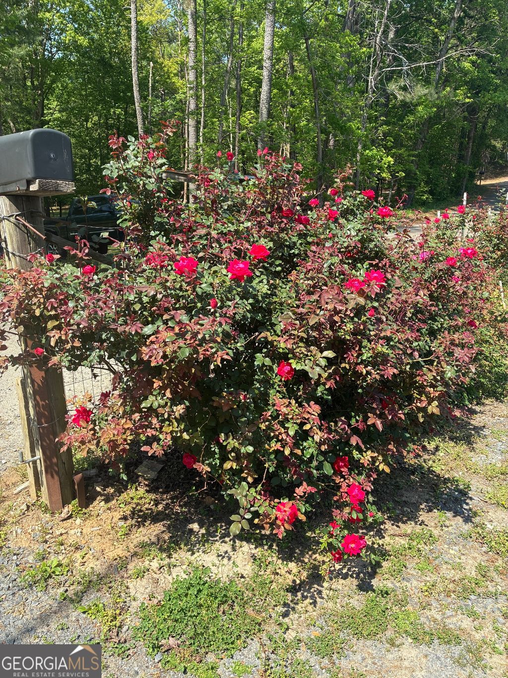 Photo of 407 Knight Drive, Ellijay, GA 30540 (MLS # 10741035)