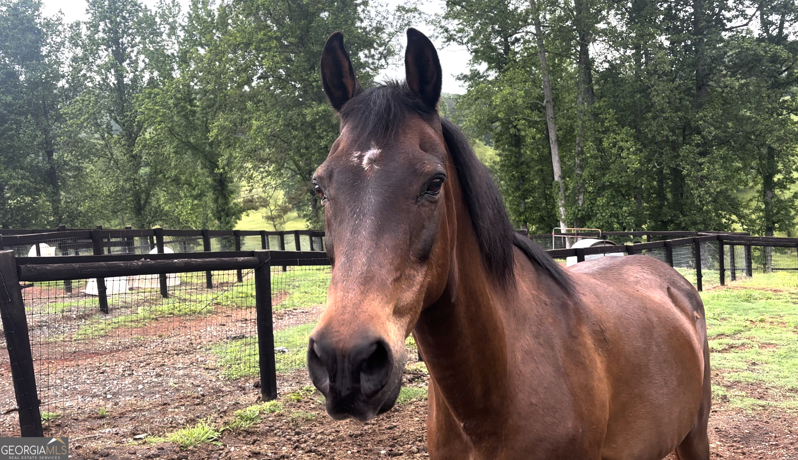 423 Debord DR LOT #2