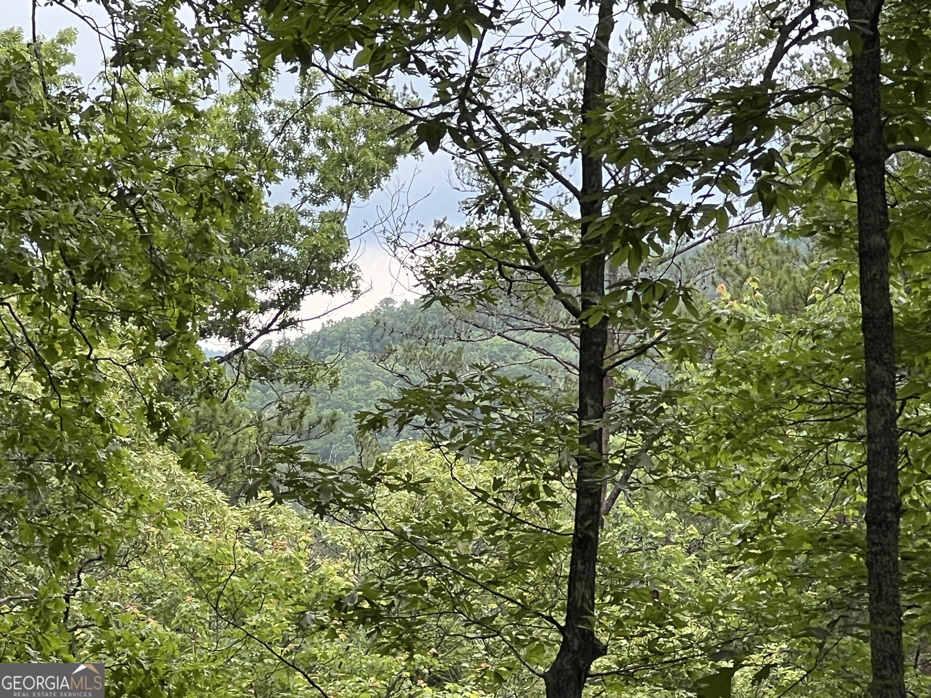 3.4 ACRE Bean Creek Rd., Wolf Howl Trl.