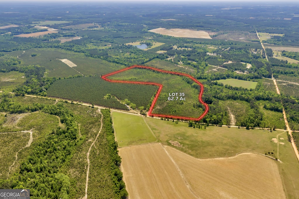 Photo of 0 Snowhill Church Rd, Cadwell, GA 31009 (MLS # 10781518)