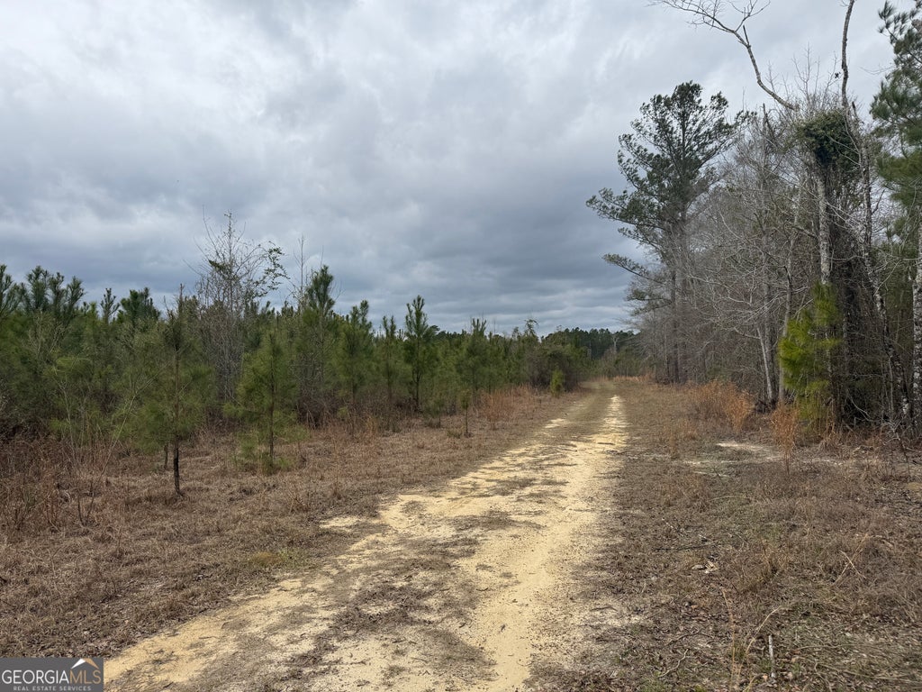 Photo of 0 Snowhill Church Rd, Cadwell, GA 31009 (MLS # 10781518)