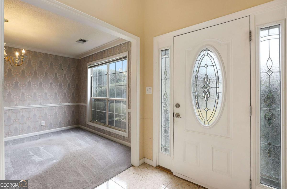 415 Brown Thrasher CT