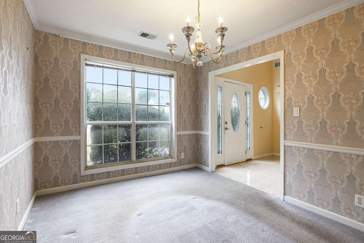 415 Brown Thrasher CT