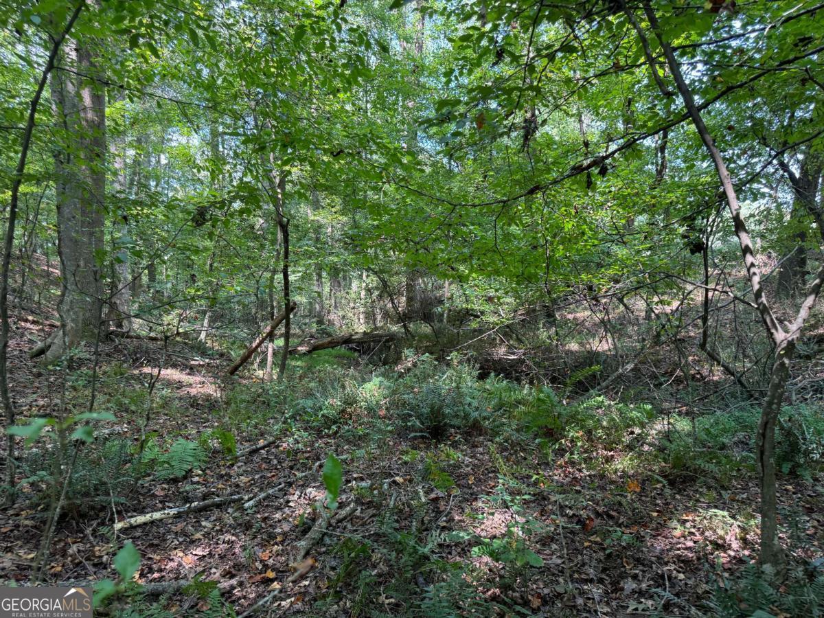 348 A Pat Rich DR