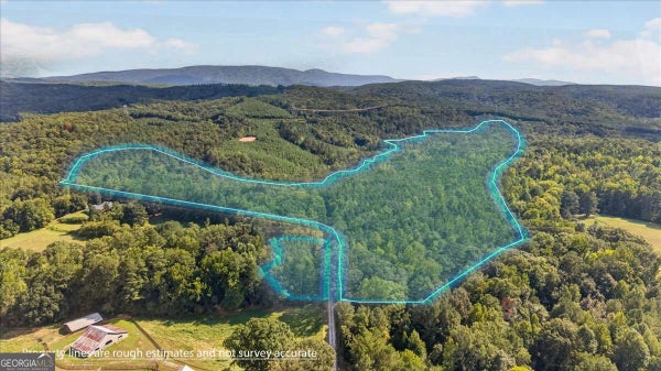 240 COLLINS PL, WALESKA, GA 30183 - Image 2260ab8d06ce22a5ff971eec14e8b79c/2437699482