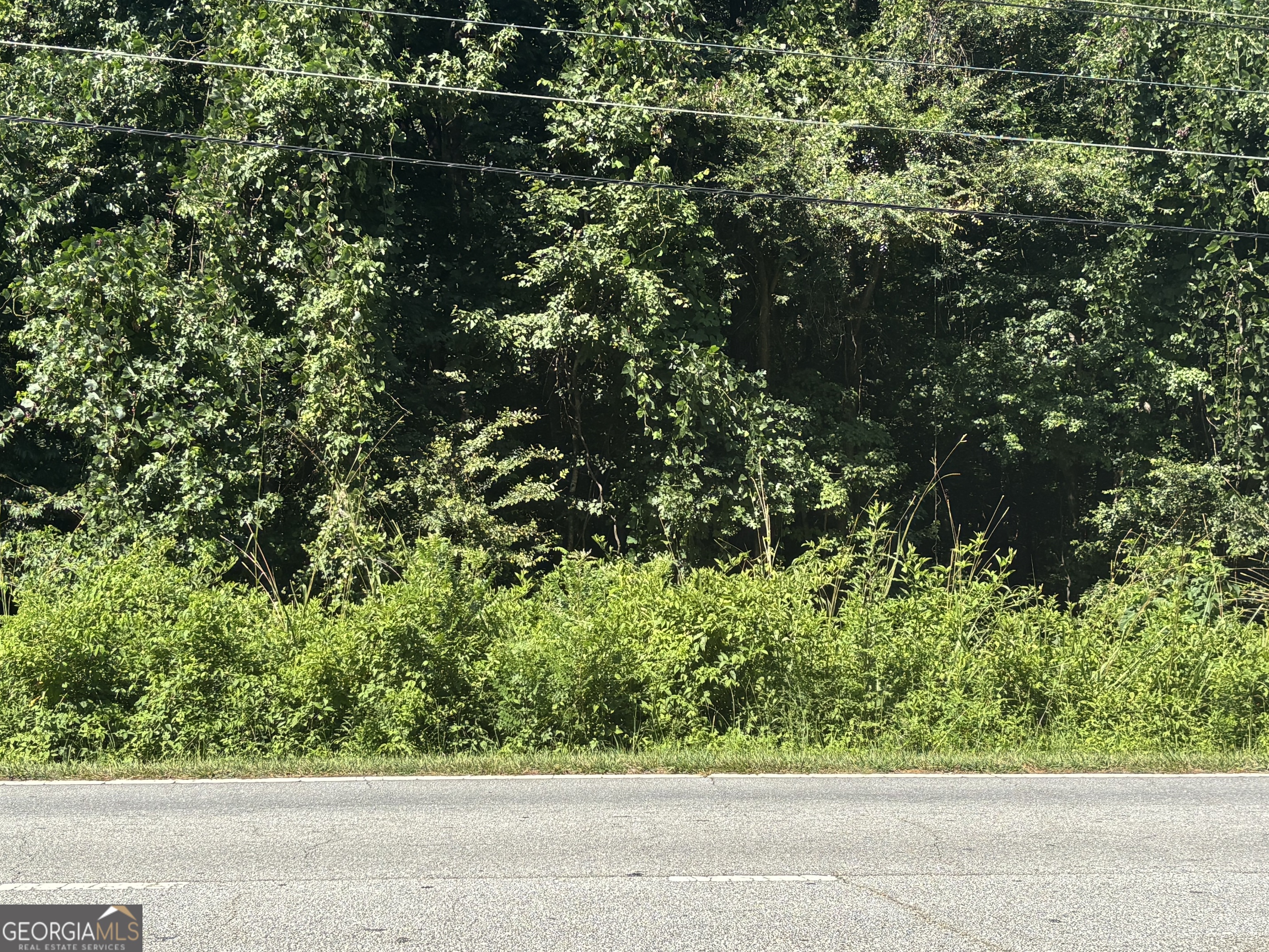 Come view this beautiful, wooded lot where you can build your Custom Dream Home. A total of 3.08 acres. There's plenty of space to build your custom home, a pool, a tennis court or any other amenities that you can dream of. No HOA! This lot is located in the Camp Creek area. You are 10 minutes from the airport and 10 minutes to downtown Atlanta. I-285, I-85 and I-20 are only minutes away. The area is continuing to grow. Shopping, grocery store and dining are minutes away! This is the perfect lot to build your custom dream home.