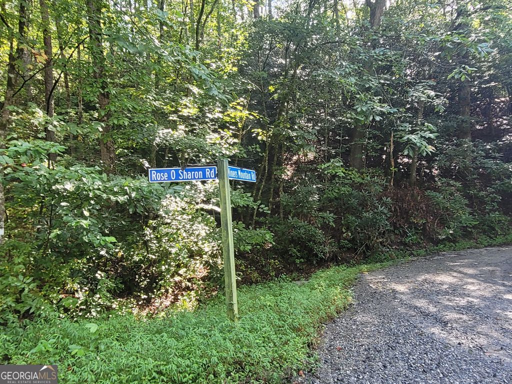 Photo of 0 Miners Mountain Road #LOT 6, Sautee Nacoochee, GA 30571 (MLS # 10730312)