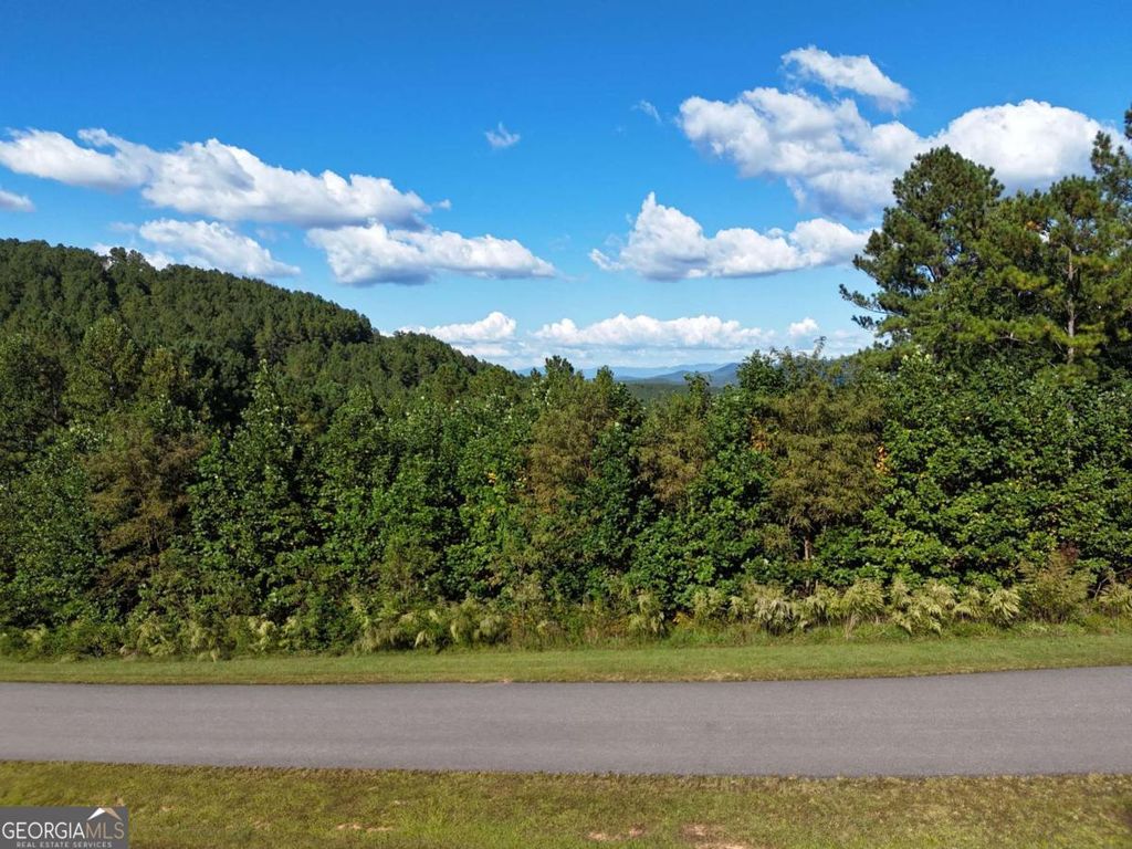 Photo of 55 Thirteen Hundred, Blairsville, GA 30512 (MLS # 10696928)