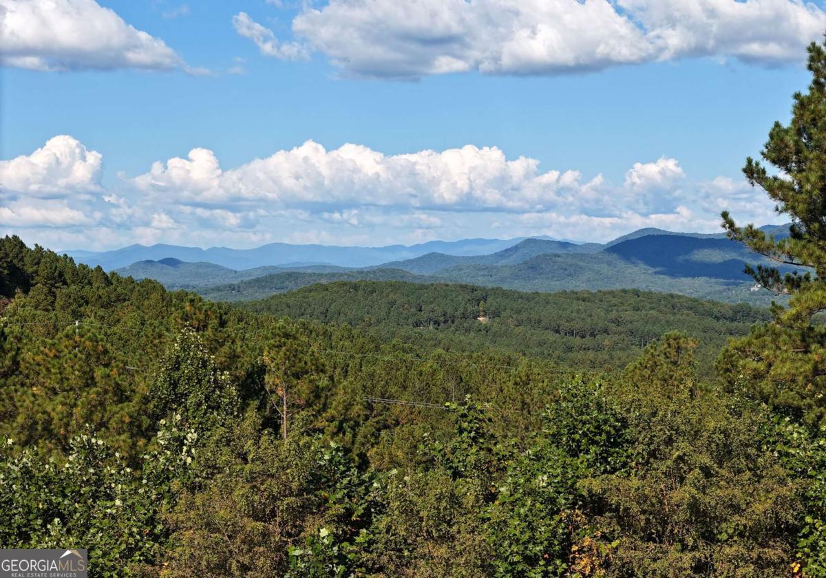 LOT55 Thirteen Hundred