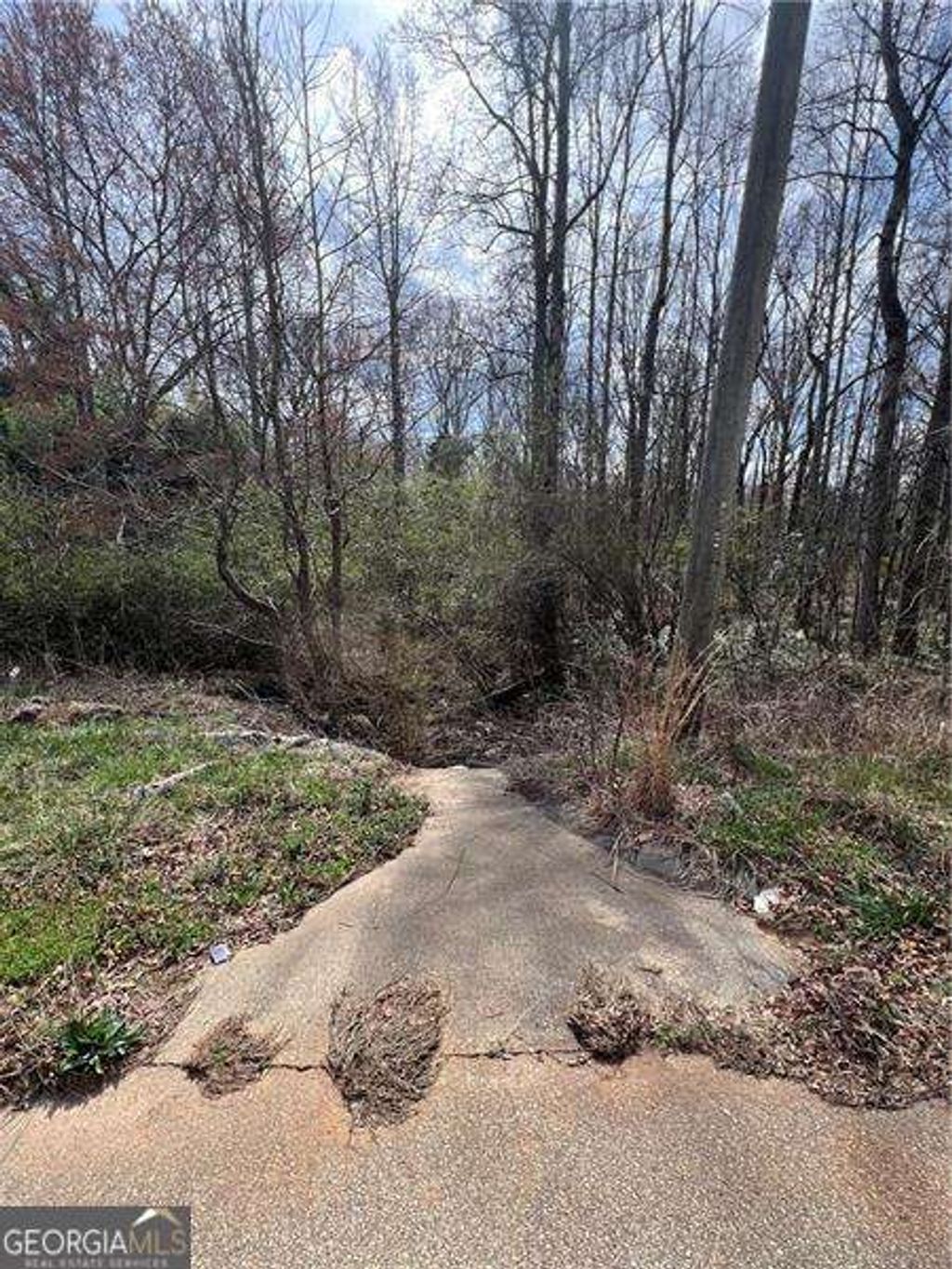 Photo of 5825 N Bear Drive, Douglasville, GA 30135 (MLS # 10664390)