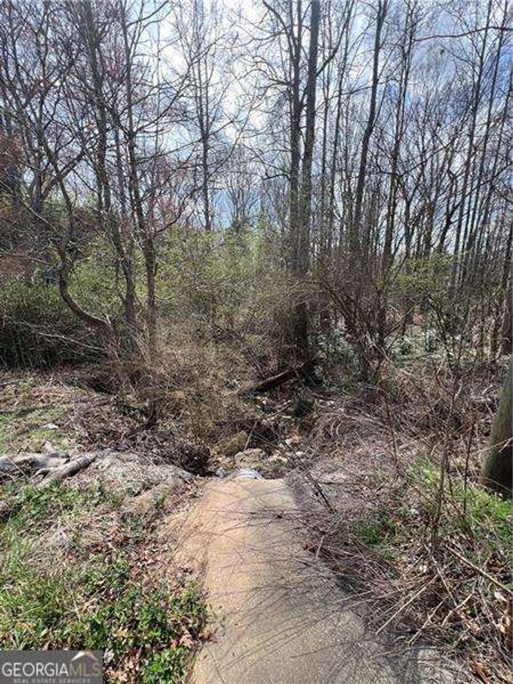 Photo of 5825 N Bear Drive, Douglasville, GA 30135 (MLS # 10664390)