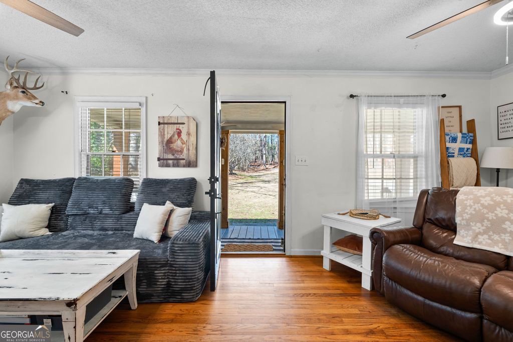 Photo of 360 Old Highway 16, Sharpsburg, GA 30277 (MLS # 10694412)