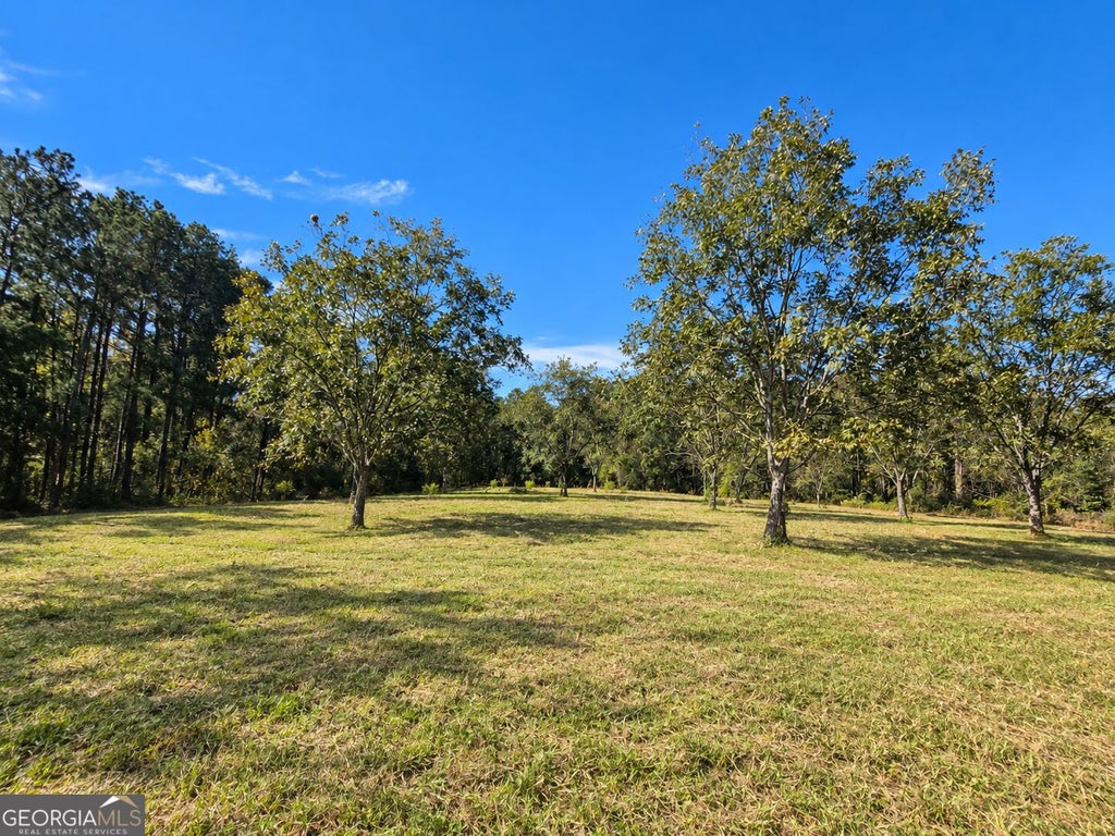 Photo of 2120 Banks Dairy Road, Portal, GA 30450 (MLS # 10881613)