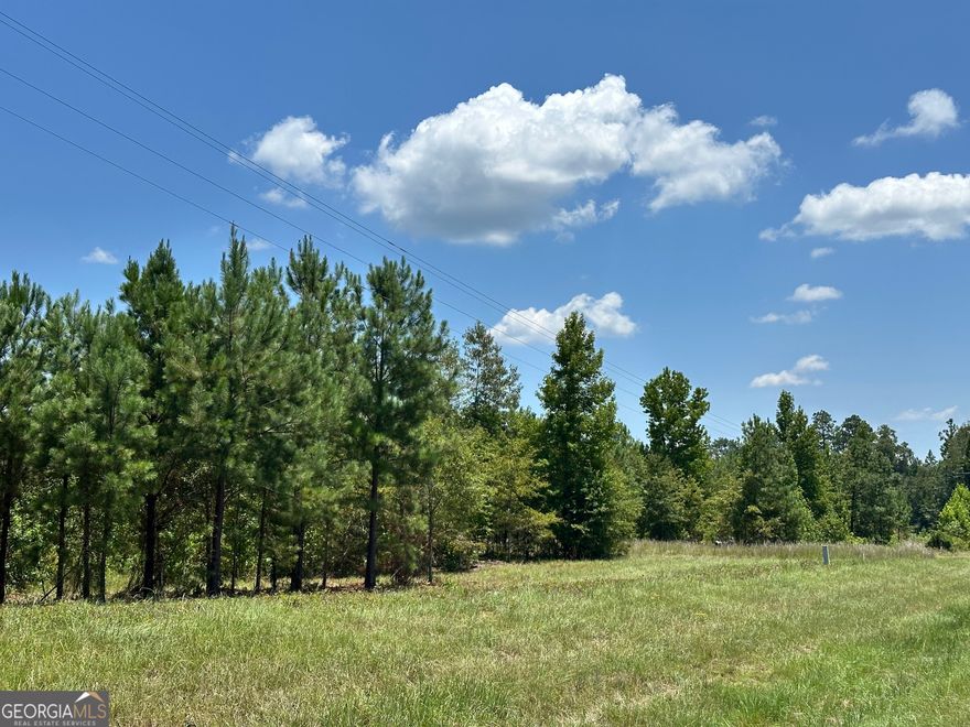 5.2 acres lot adjoins a 5.32 lot. Lots can be combined for a total pf 10.52 acres. Non restricted land ready for you! Land is suitable for a home, mobile home and business.