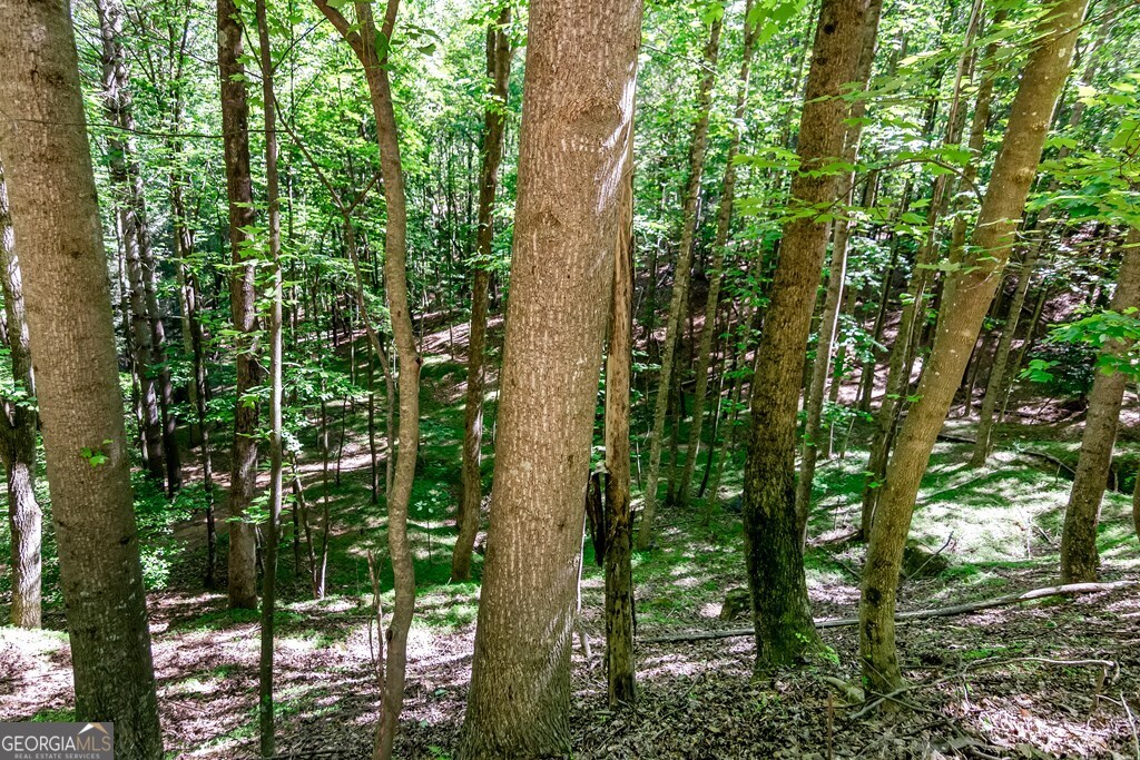 LOT 26 Estates DR