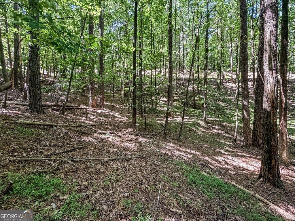 Photo of 26 Estates Drive, Ellijay, GA 30540 (MLS # 10768430)