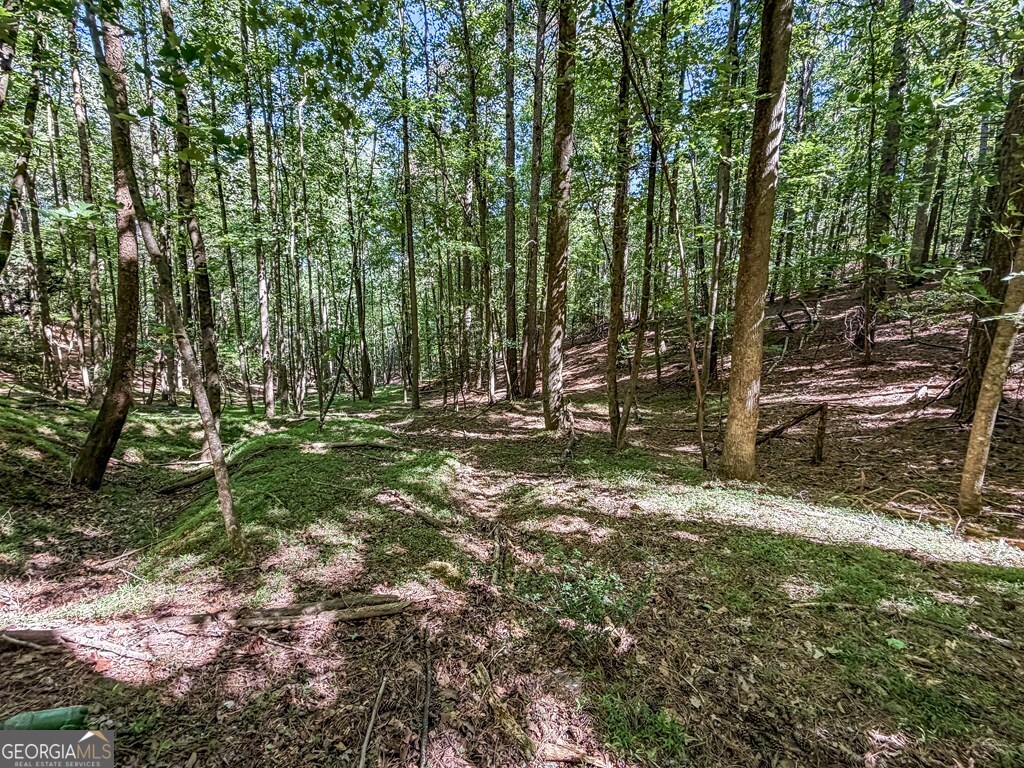 LOT 26 Estates DR