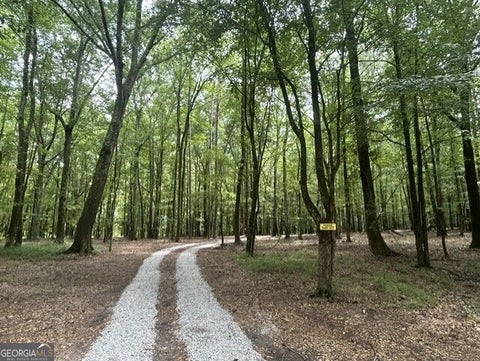 Photo of 338 Adams Road, Union Point, GA 30669 (MLS # 10820487)