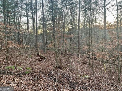 Photo of 1684 Shade Tree Drive, Talking Rock, GA 30175 (MLS # 10531991)