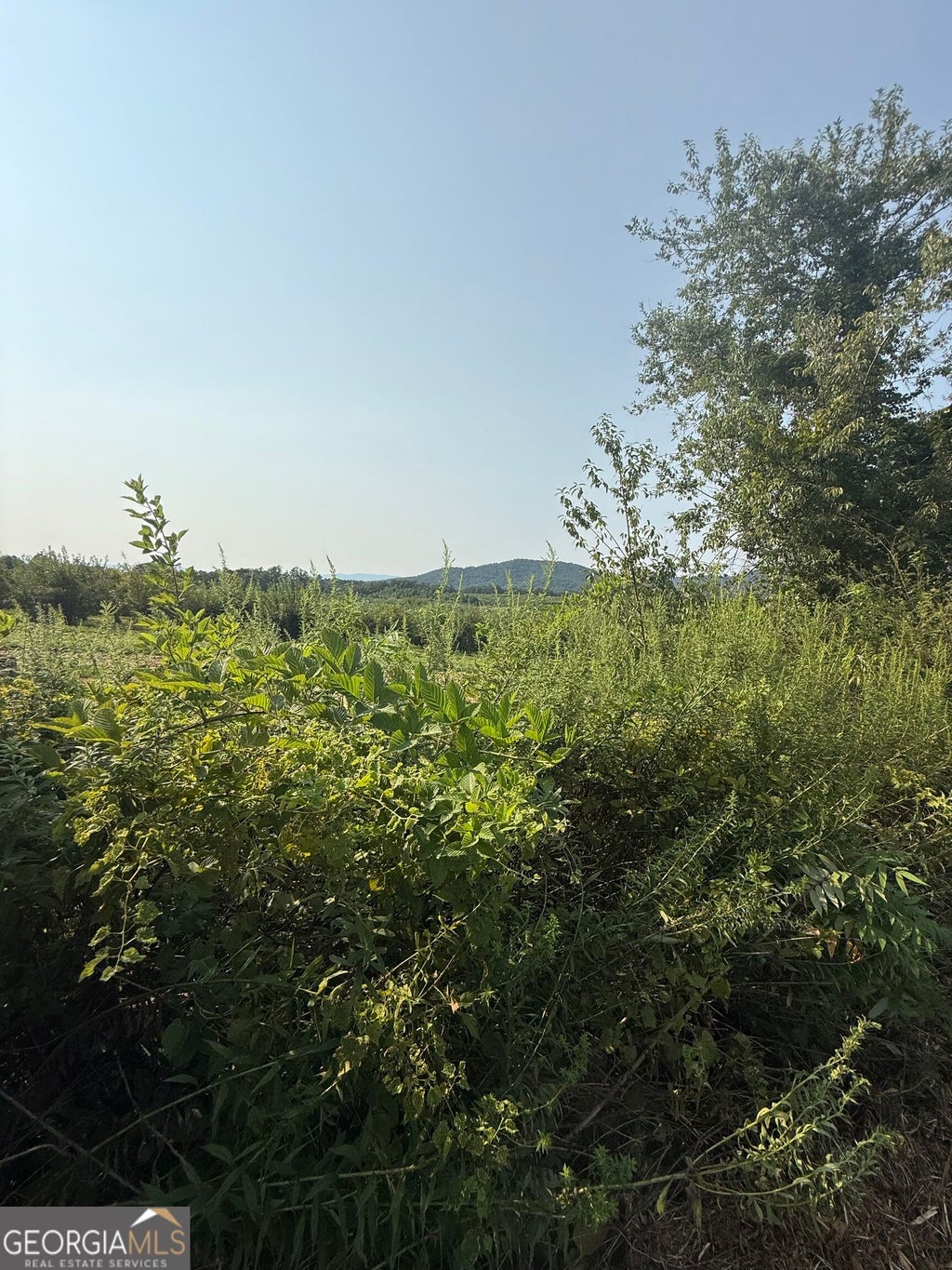Photo of 0 Ridgemont Lane, Ellijay, GA 30536 (MLS # 10835367)