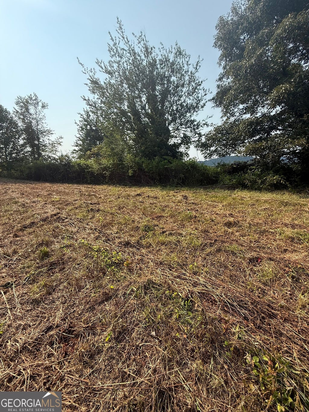 Photo of 0 Ridgemont Lane, Ellijay, GA 30536 (MLS # 10835367)