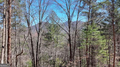 Photo of 10 Firefly Ridge, Blairsville, GA 30512 (MLS # 10823415)