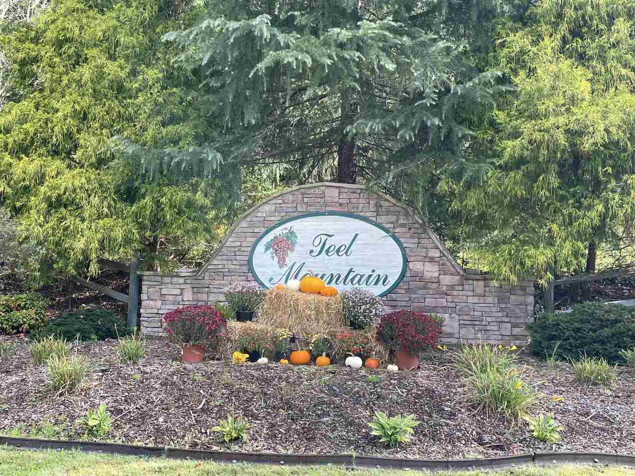 Teel Mountain - Residential