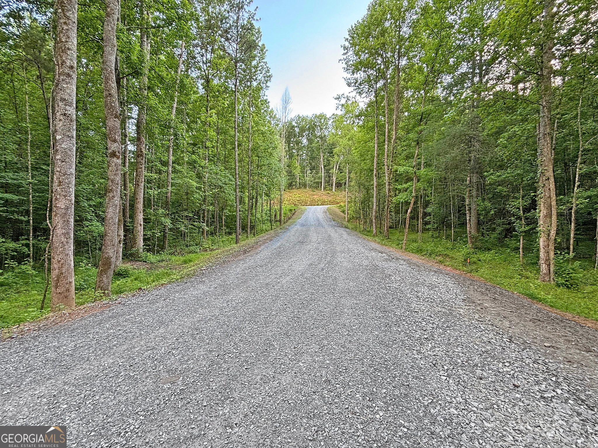 LOT 20 Mt Springer RD