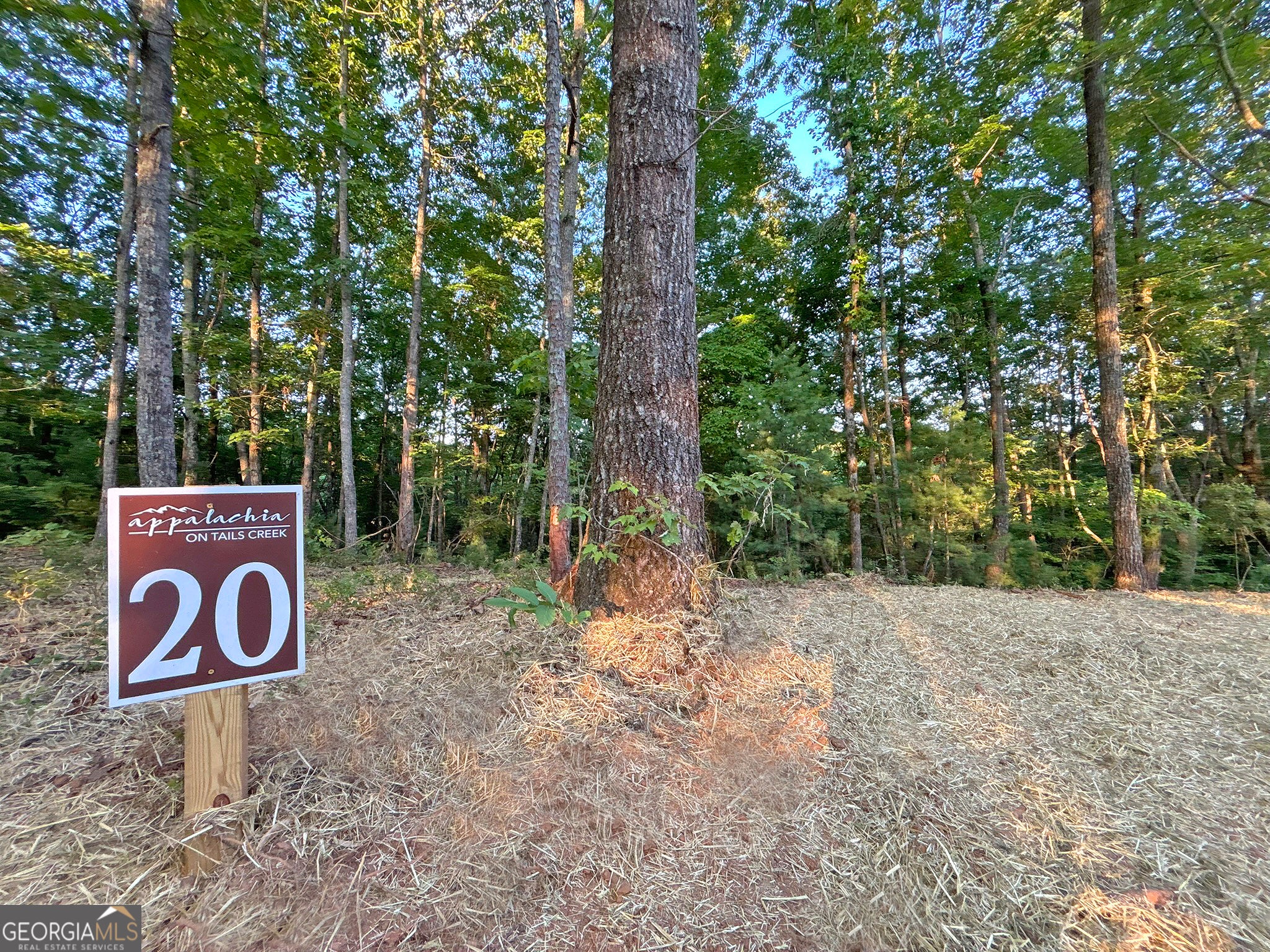 LOT 20 Mt Springer RD