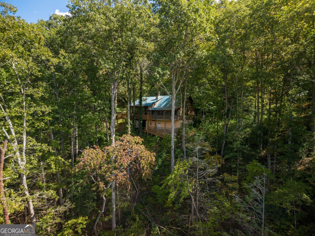 Photo of 808 Mill Stone Mountain LN, Blue Ridge, GA 30513 (MLS # 10874653)