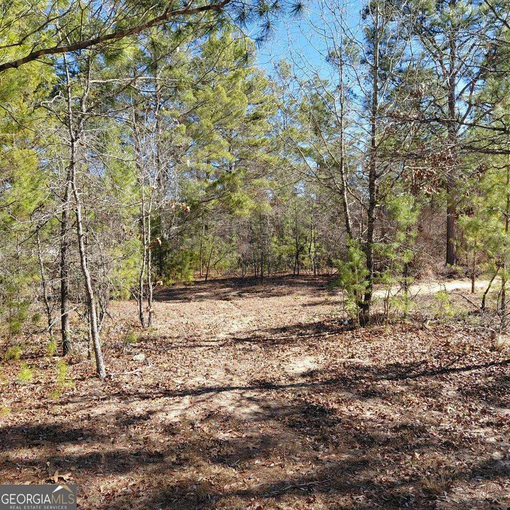 100 Sparrow Drive, Box Springs, GA, 31801