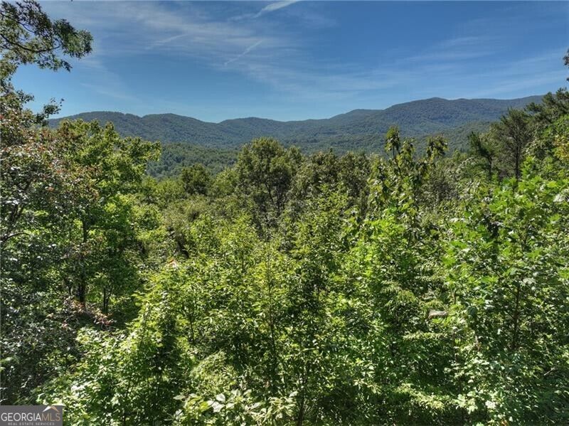 300 Cloudland TRCE