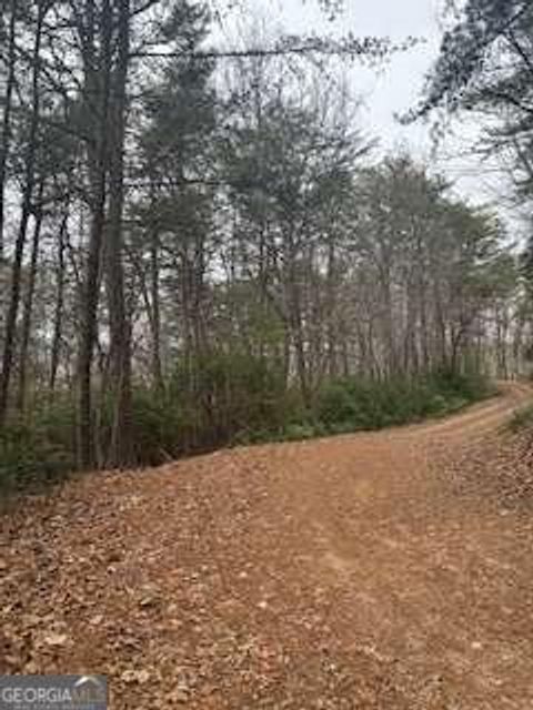 Photo of 0 Winchester Creek, Young Harris, GA 30582 (MLS # 10671732)