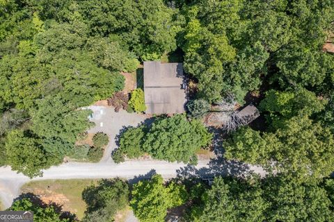 A home in Mineral Bluff