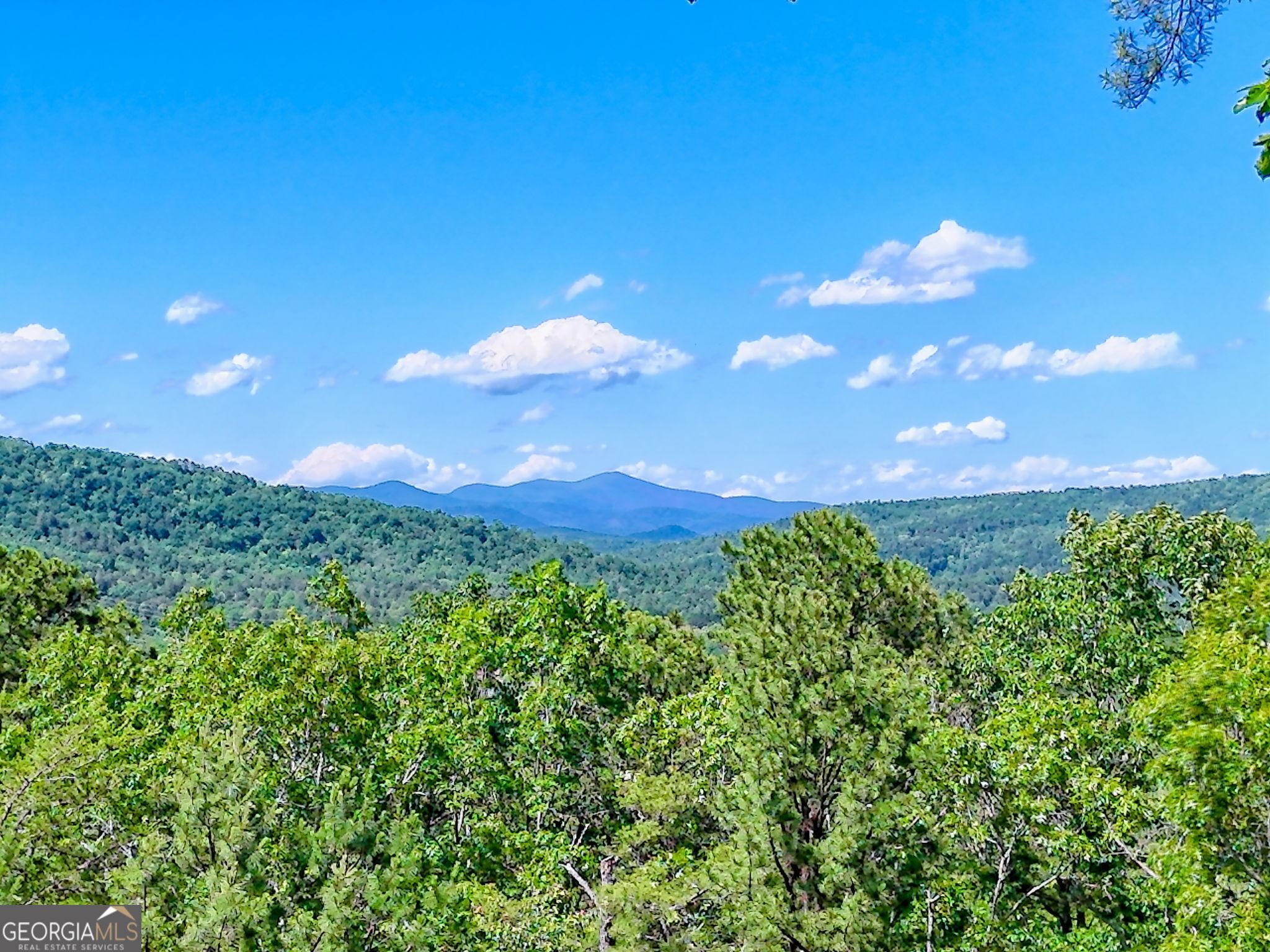 421 Hickory Nut Mountain RD
