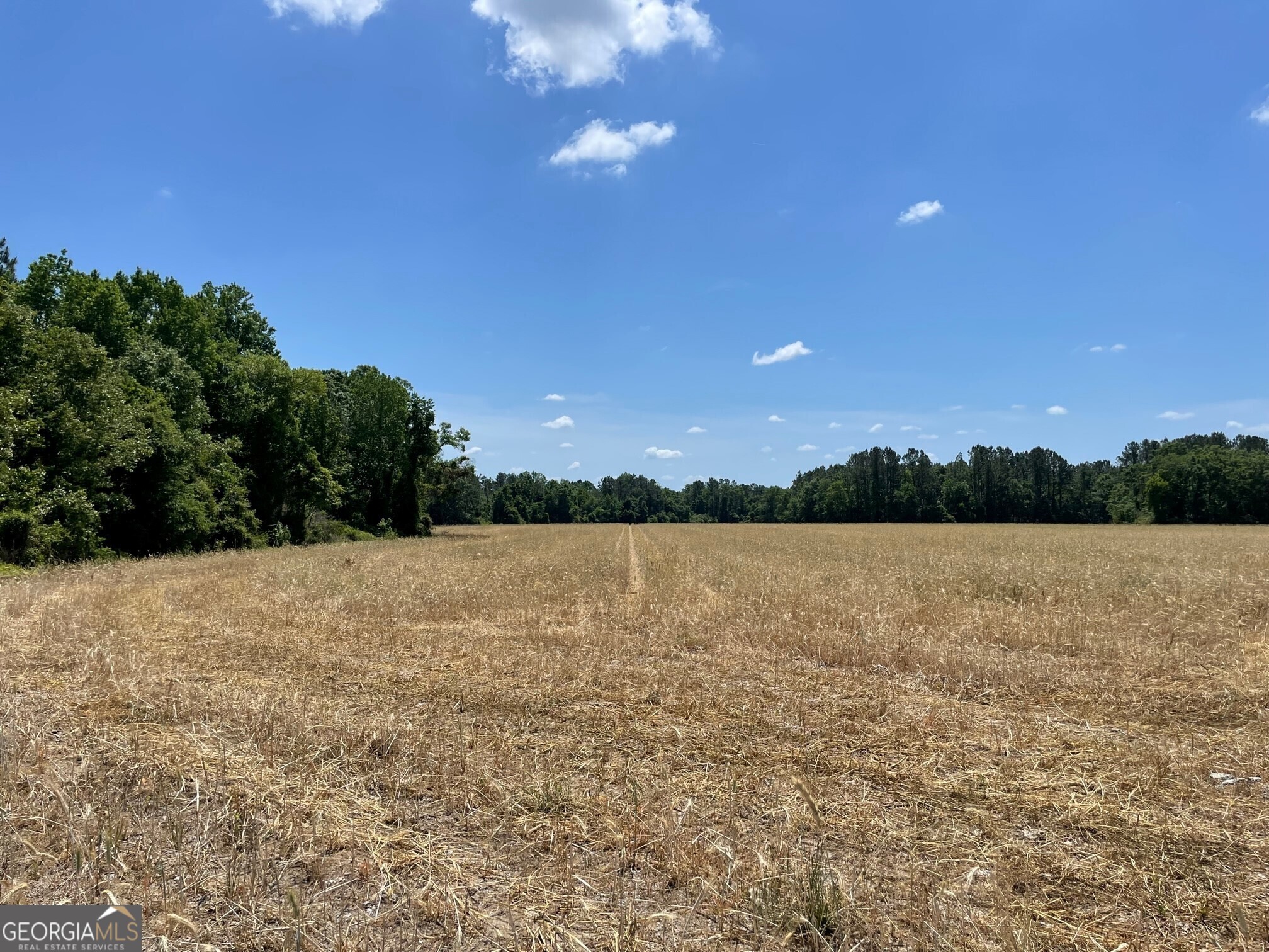 MLS: 10509796