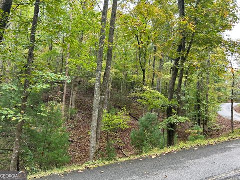 Photo of 0 Lower Gap Rd #W16, Sautee Nacoochee, GA 30571 (MLS # 10731643)