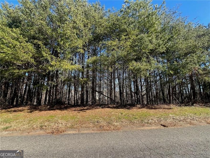 Discover this beautiful 1.11-acre lot located in the charming, well-established neighborhood of Silver Creek. This lot is perfectly suited for a basement-style home or a residence with a tiered rear deck, allowing you to fully embrace the beauty of the stunning wooded landscape and take advantage of the long road frontage. Silver Creek is a neighborhood known for its well-maintained properties and inviting atmosphere, making it an ideal place to create your dream home. This is one of three adjoining lots currently available (see FMLS 7678210 & 7678227), offering the last opportunity to secure your space in this sought-after community. Conveniently located in the desirable community of Silver Creek in Cherokee County, just a 15-minute drive from Canton or Jasper, providing easy access to shopping, dining, and recreation while maintaining the peace and privacy of a countryside retreat.