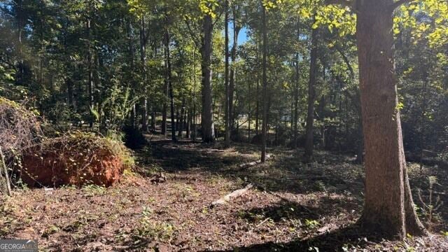 Photo of 297 Burg Road, Jenkinsburg, GA 30234 (MLS # 10880747)