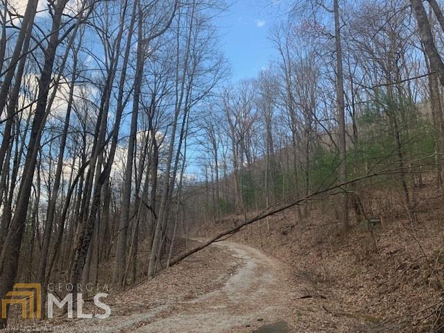 Off the grid privacy in Sky Valley, Alex Mountain Drive area. Get lost in in the peace and quiet of the mountains & build your mountain getaway on this lot with an incredible seasonal view! 4 WD recommended!