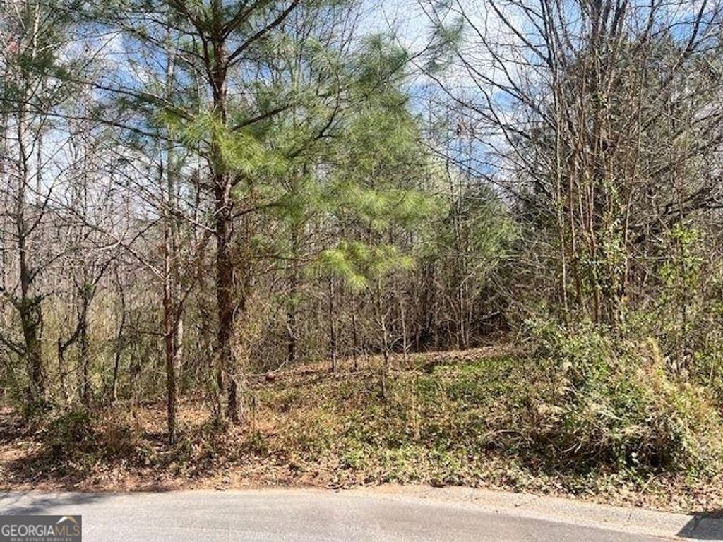 Photo of 78 Heights Hollow, Acworth, GA 30101 (MLS # 10715676)
