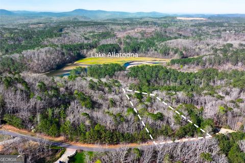 Photo of 14 Hawks Branch Lane, White, GA 30184 (MLS # 10718175)